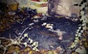 Feuer Matratze wo ein Obachloser drauf geschlafen hat Koeln Muelheim Steegerstr P32